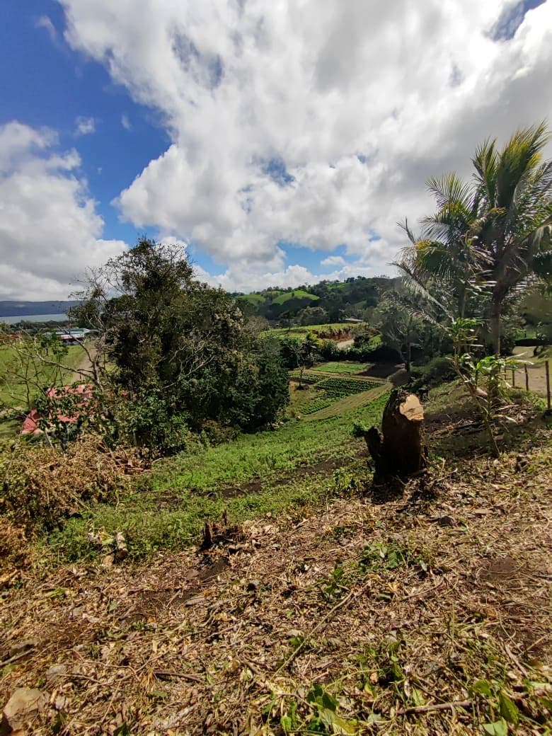 Beautiful 2932 m2 lot with Lake Arenal View in Tronadora