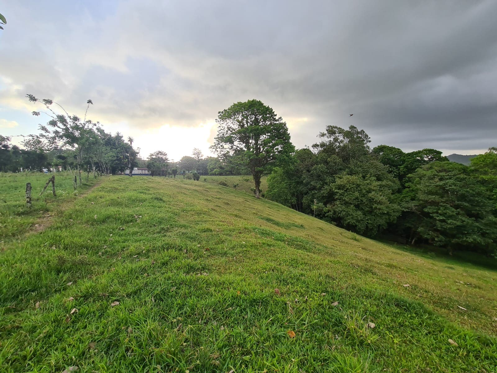 16-Hectare Farm with a Private Well and Views of Lake Arenal in Nuevo Arenal