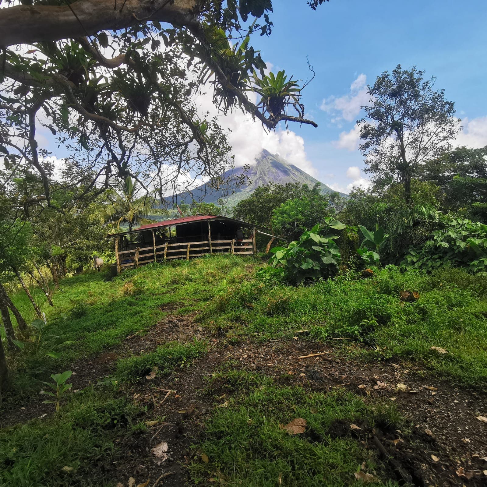 Exceptional Lake and Volcano View Property in El Castillo, San Carlos