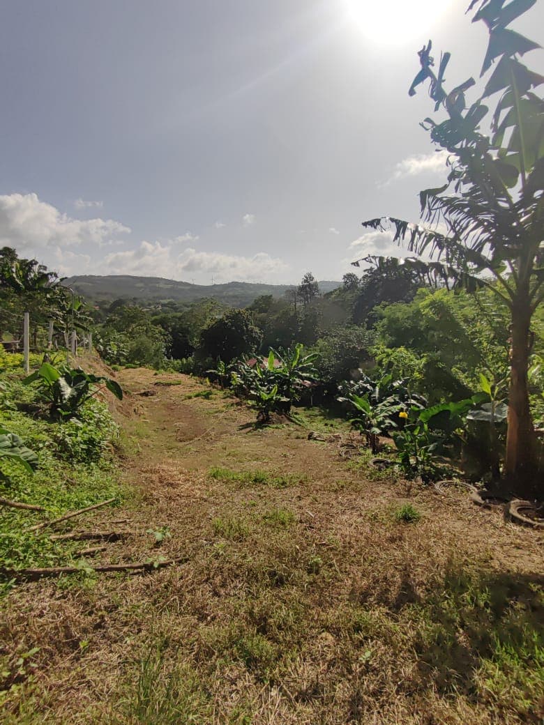 Lovely1,903 m3 (0.47 Acre) Near Lake Arenal in Tronadora