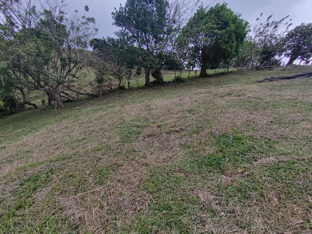 Gorgeous 701 m2 (0.17 Acre) lot with Lake Arenal and Volcano view in Tronadora