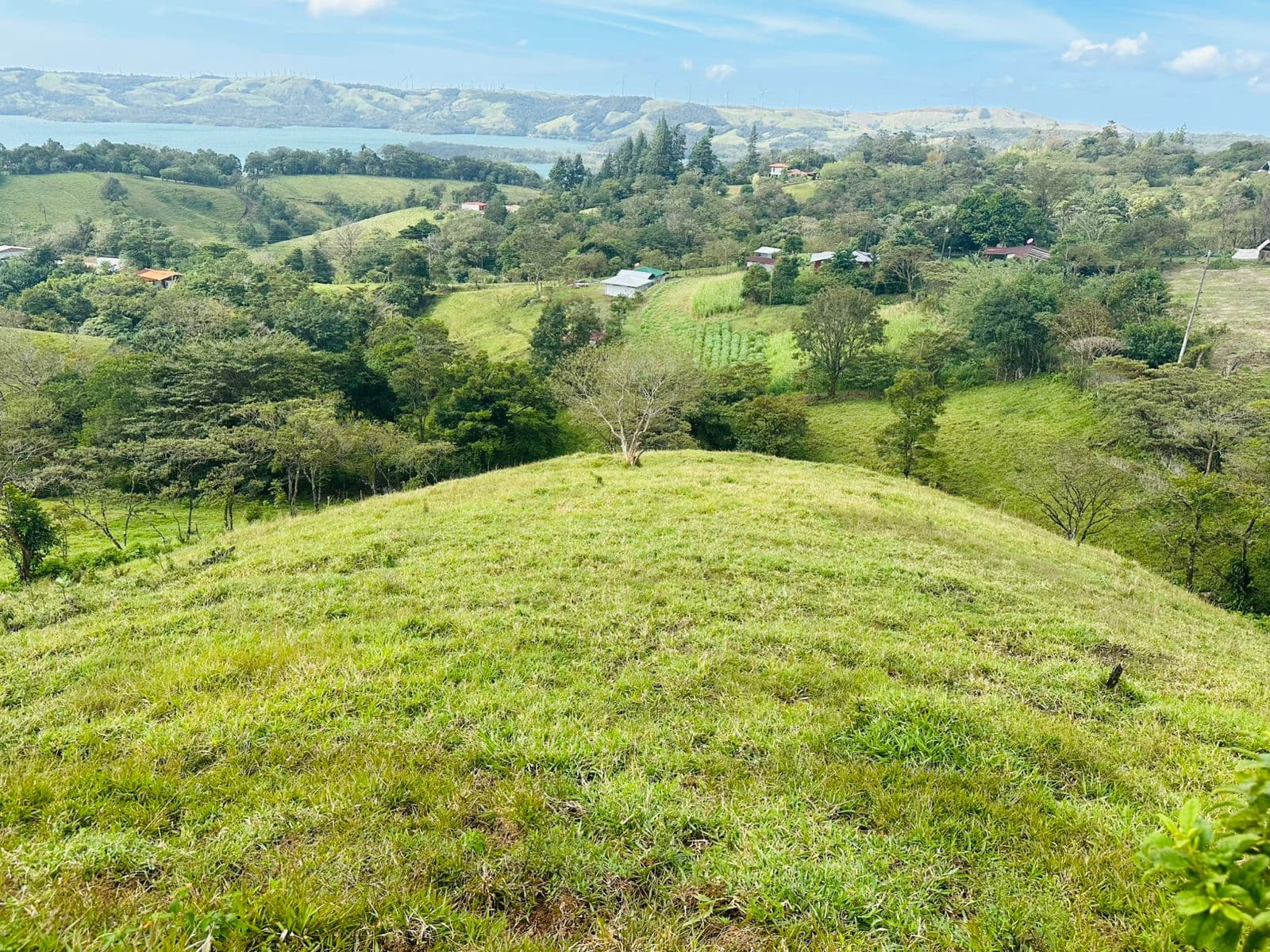 Prime 6,000 m² (1.48 Acre) Lot with Stunning Views of Lake Arenal & Mountains