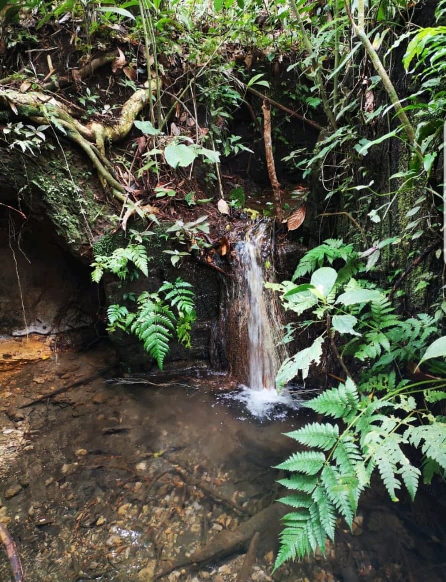 Incredible 9 Hectare Farm w/ Water Galore, Rivers, Springs & Creeks