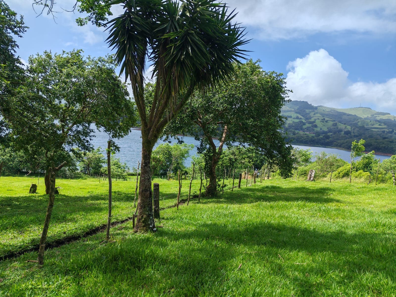 15,750 m² Lakefront Lot with Volcano Views, Fruit Trees & Direct Lake Access