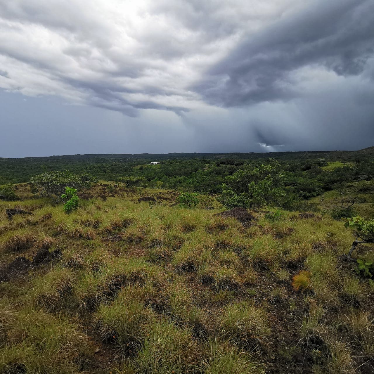 Private 26,000 m² Lot w/ Panoramic Views & Natural Water Source in Bagaces