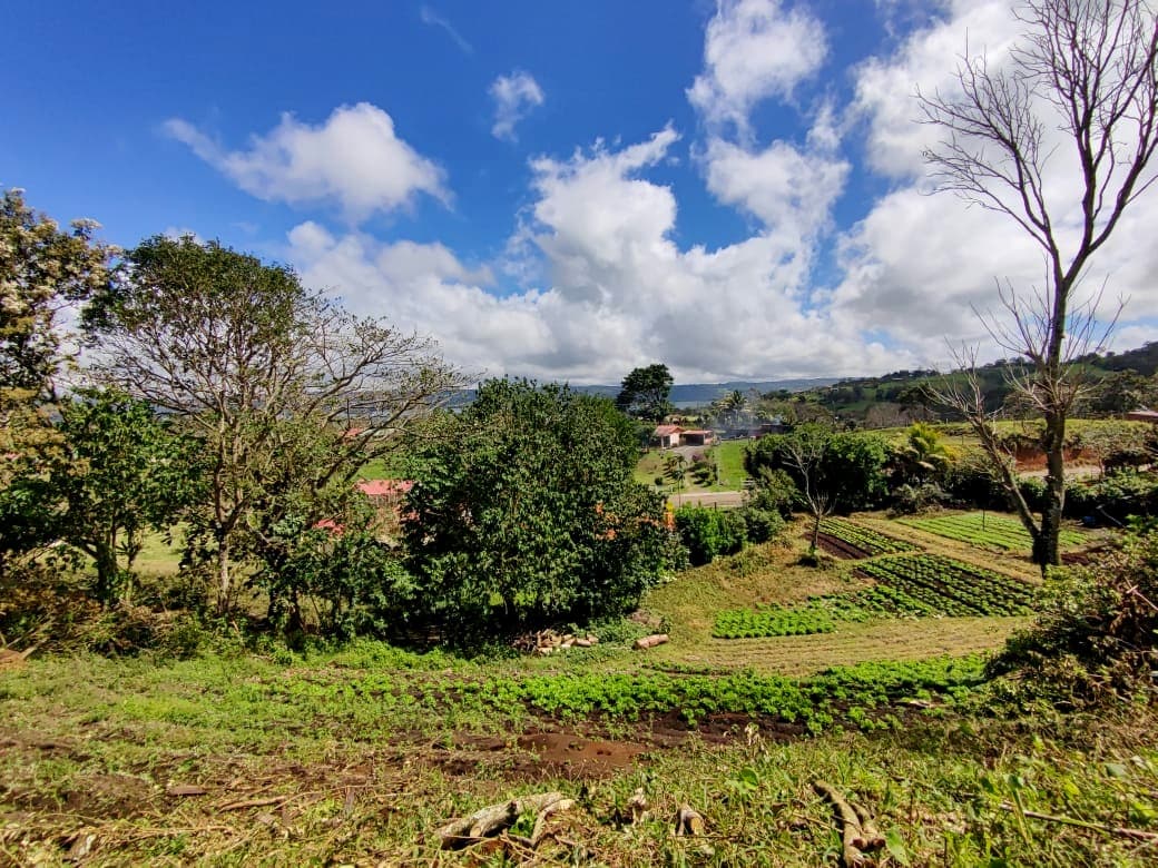 Beautiful 2932 m2 lot with Lake Arenal View in Tronadora