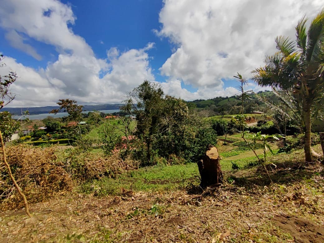 Beautiful 2932 m2 lot with Lake Arenal View in Tronadora