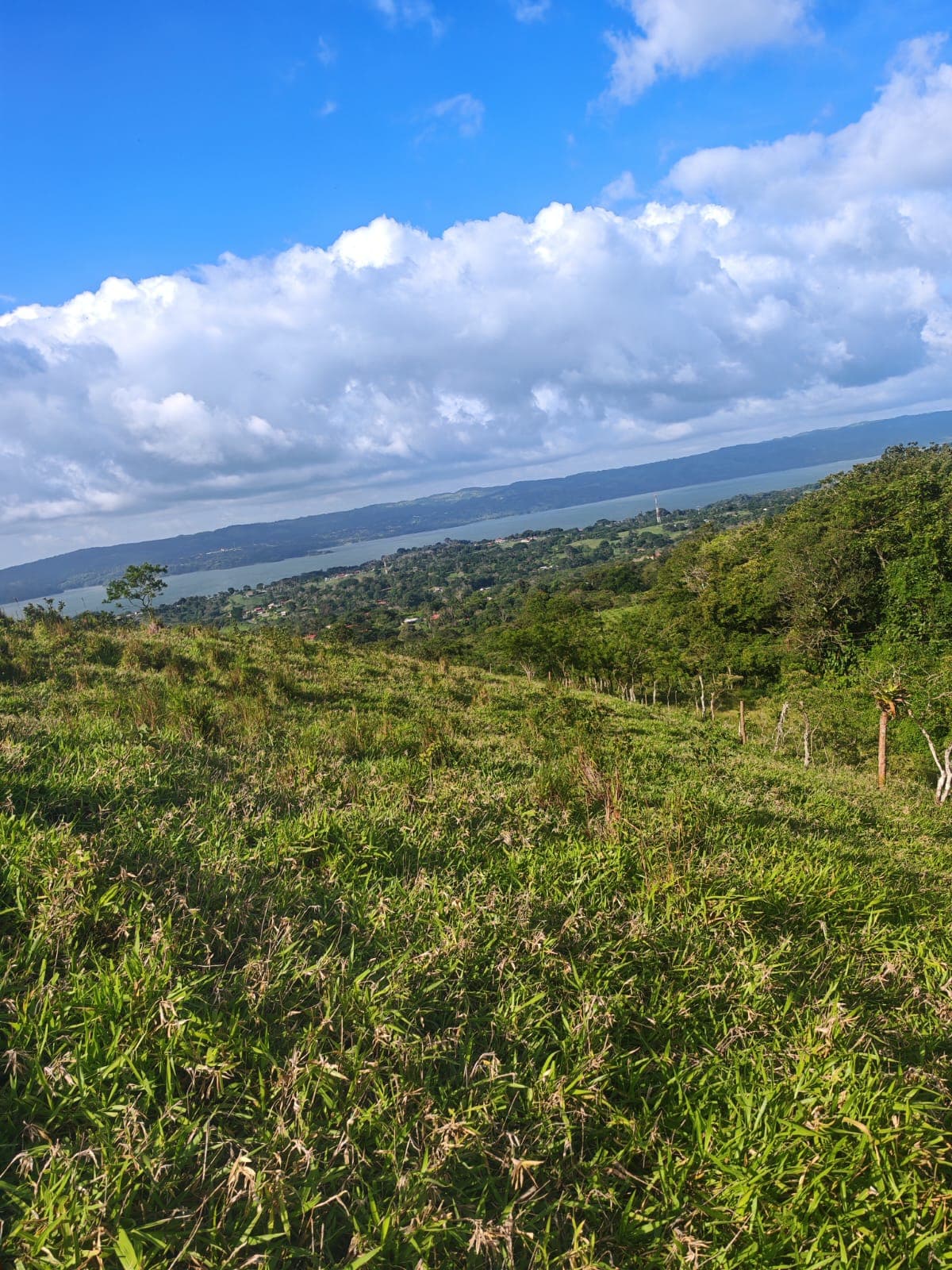 Beautiful Lot of 5642 m2 (1.39 Acre) with Lake View in San Luis