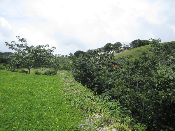 1,30 Acre+ Lake View Lot in Marina Community In Rio Piedras