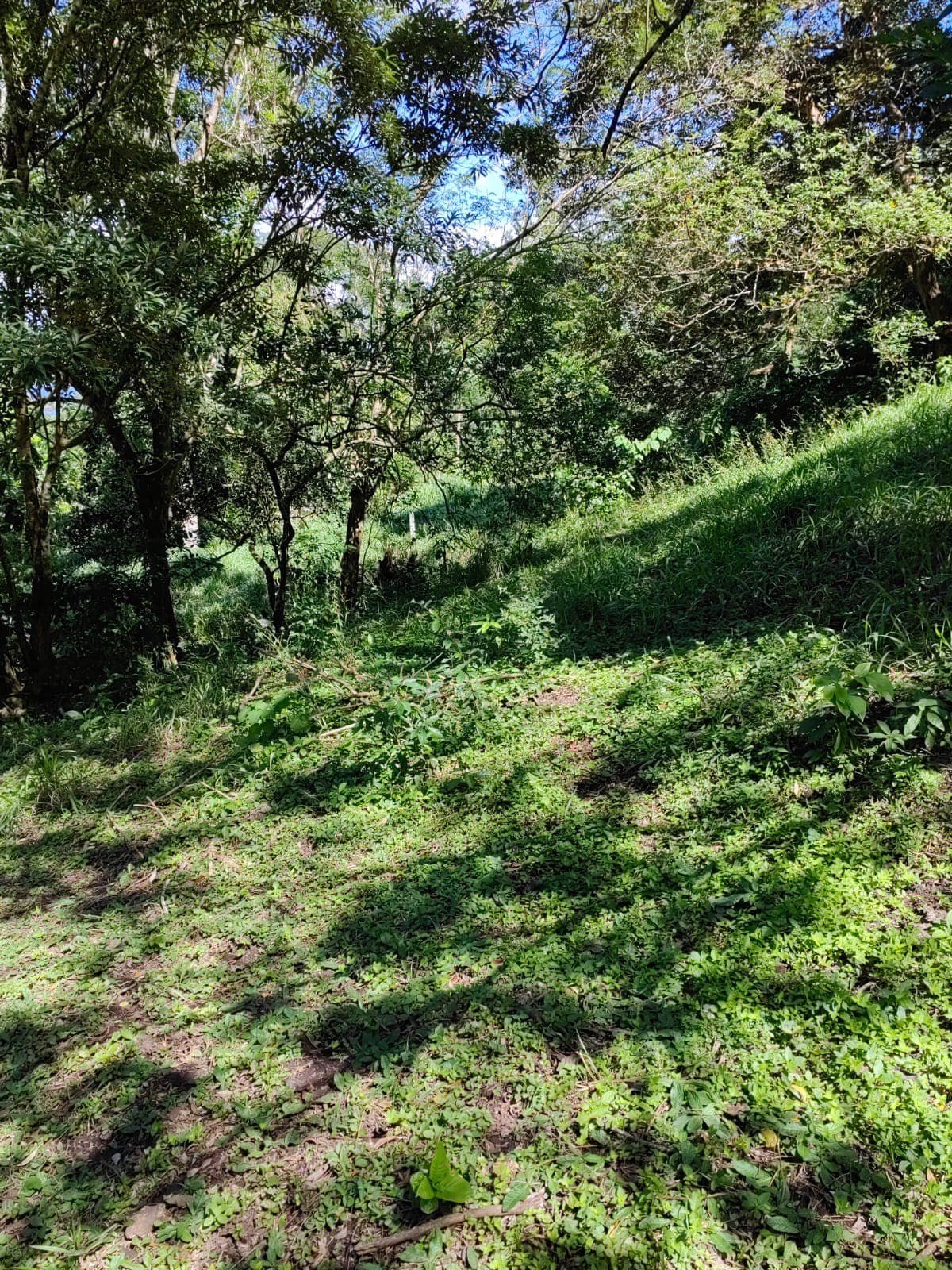 Large Lake view lot of 12,159 square meters in San Luis, Tilarán