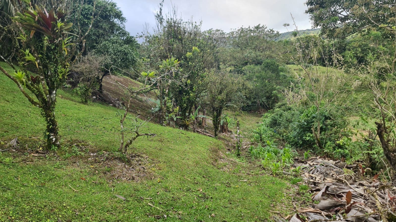 Lovely, 2625 M2 (0.64 acres) Lot in Mata de Caña, Nuevo Arenal