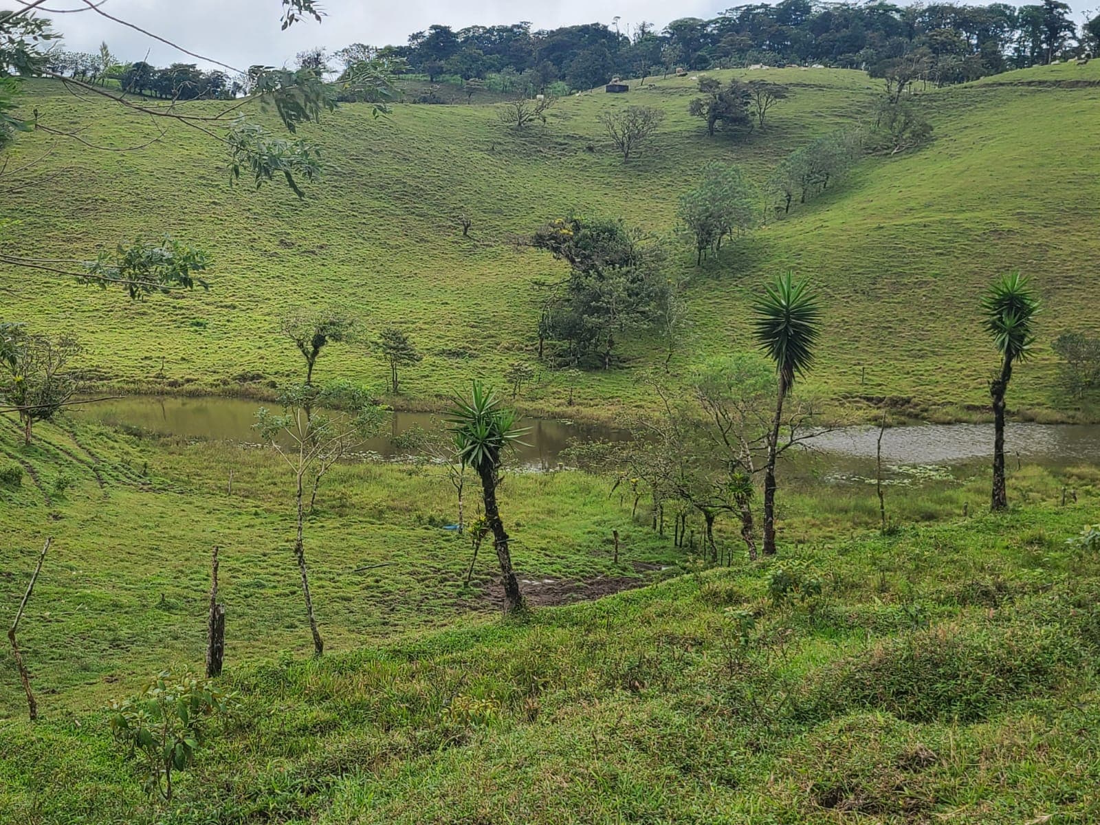 Spectacular 105-Hectare Lot with Lakes, Mountain Views, & Natural Resources