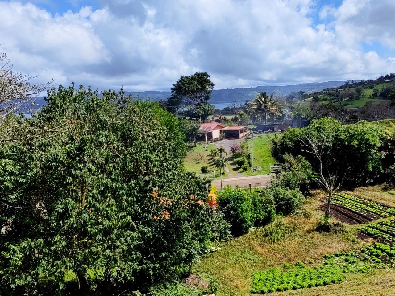 Beautiful 2932 m2 lot with Lake Arenal View in Tronadora
