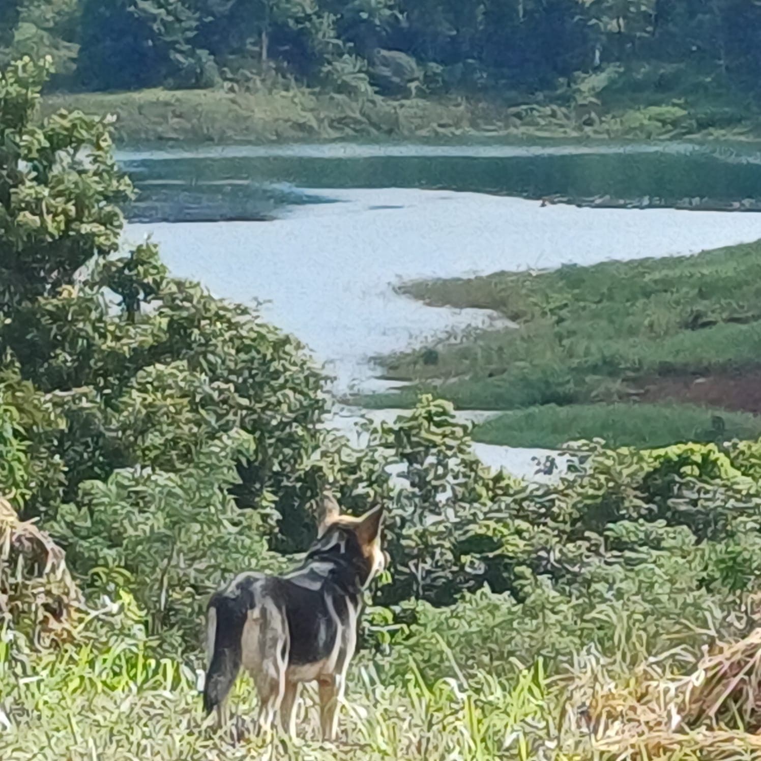 Expansive 7,663 m² Lot with Lake and Mountain Views in San Luis, Tilaran