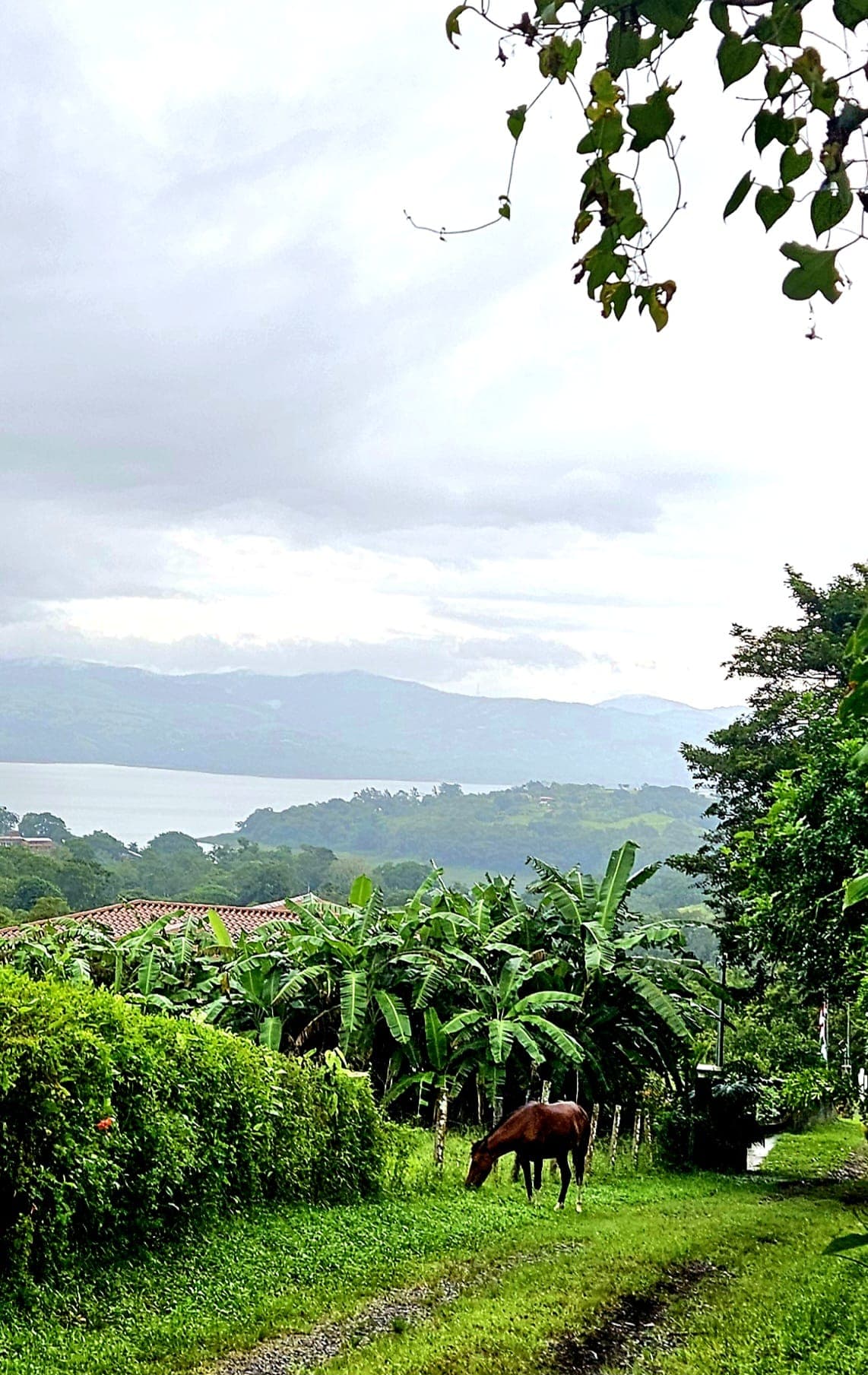 8,737 M2 (2.15 Acre) Lot with View of Lake Arenal in Tronadora