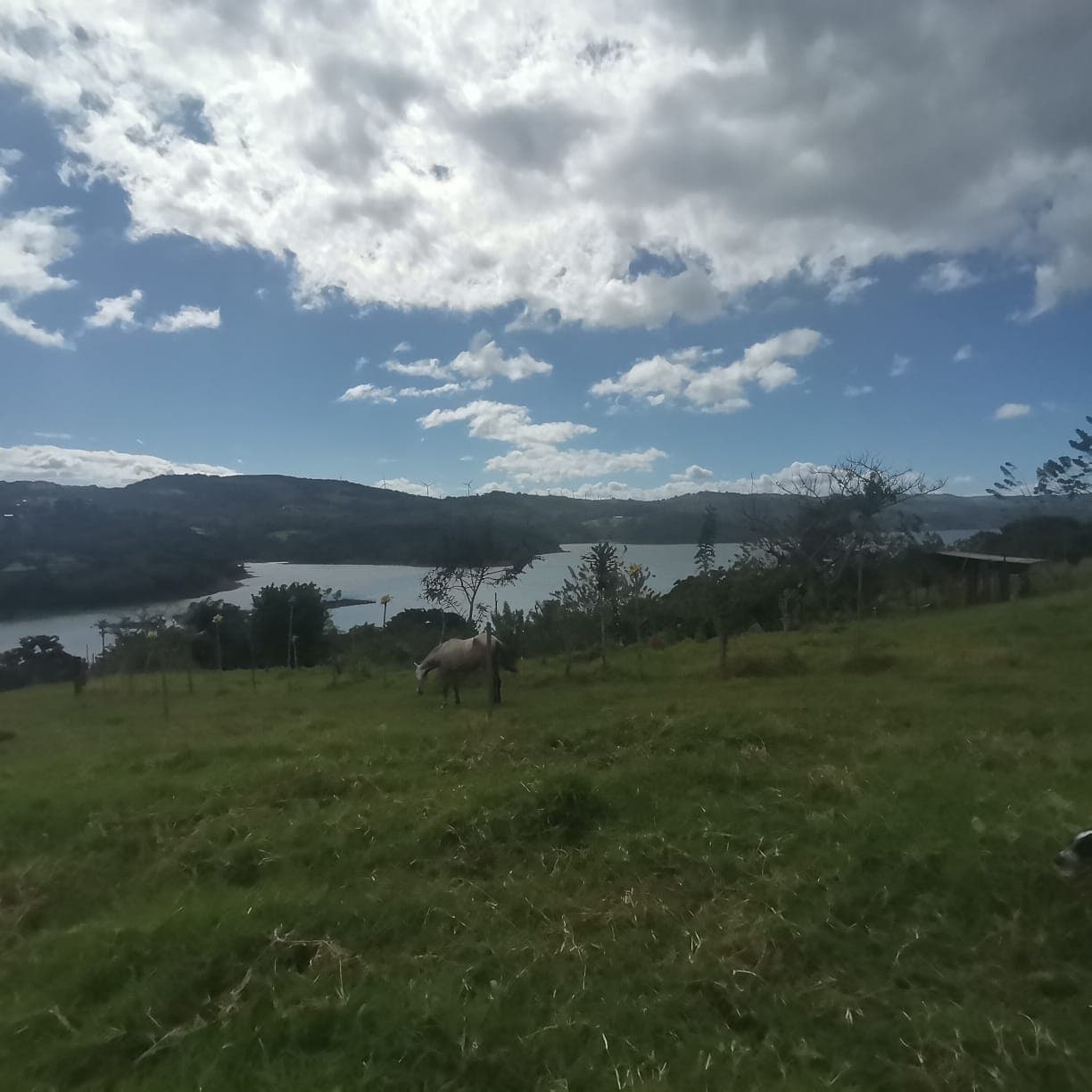 Spectacular, 5000m2, Lake View, LAKE ACCESS Lot in Tronadora!