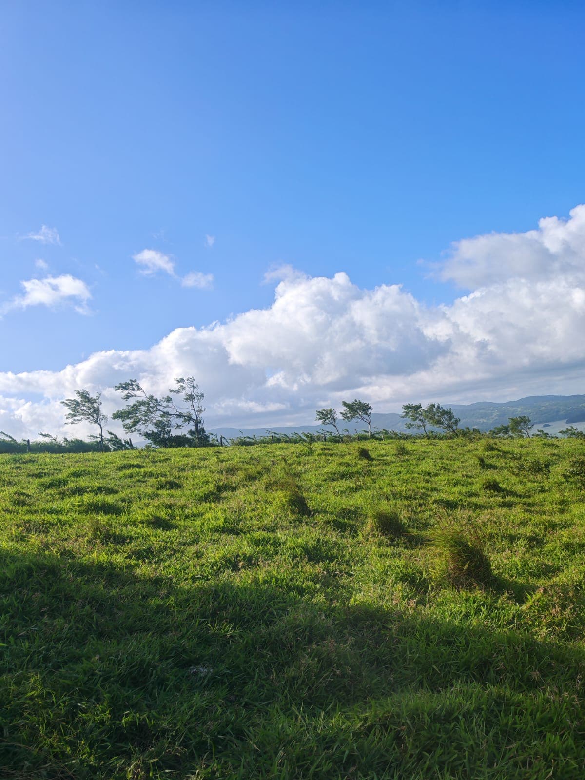 Beautiful Lot of 5642 m2 (1.39 Acre) with Lake View in San Luis