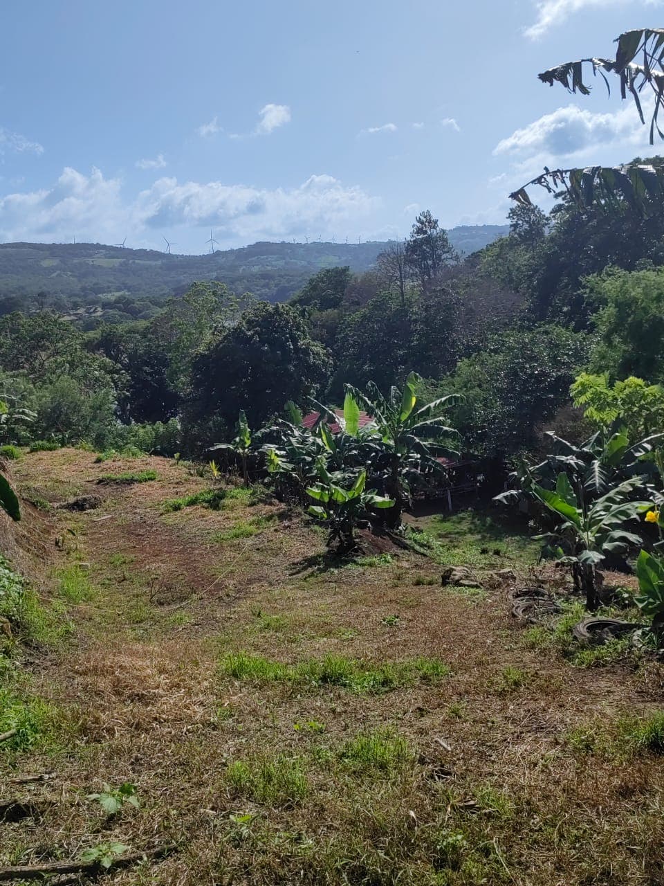 Lovely1,903 m3 (0.47 Acre) Near Lake Arenal in Tronadora