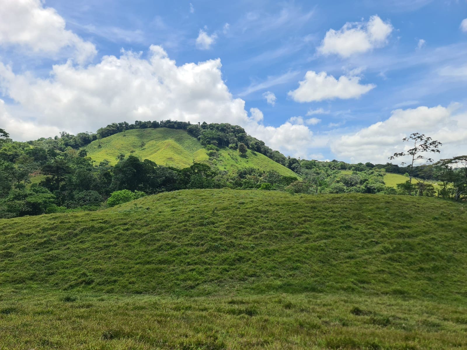 Beautiful 7942 m2 (1,96 acre) Lot Lake View in Nuevo Arenal