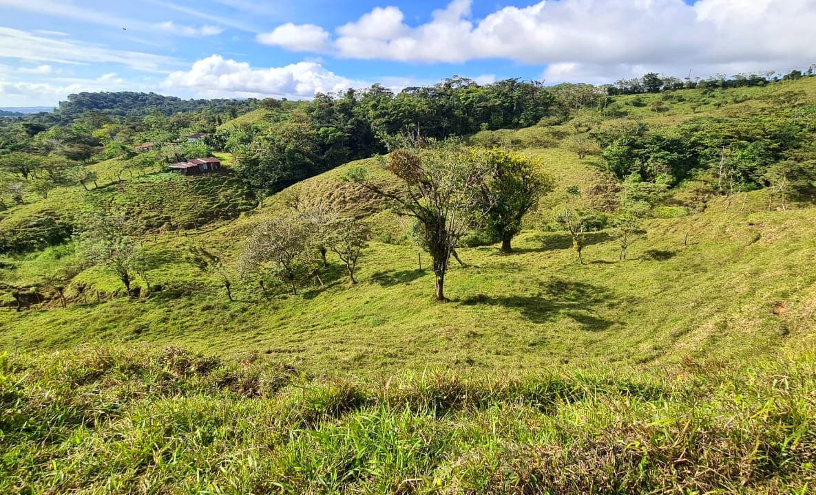 Amazing Opportunity, 2 Hectare, Lake View Parcel in Nuevo Arenal