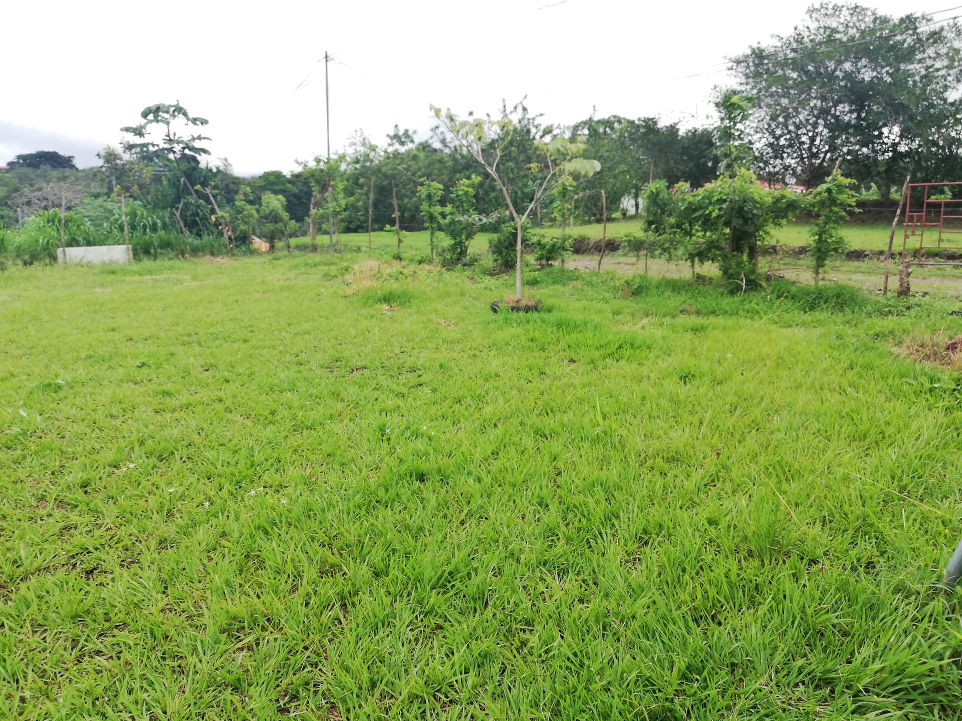 READY TO BUILD! 2,670m2 Parcel near Downtown Tronadora