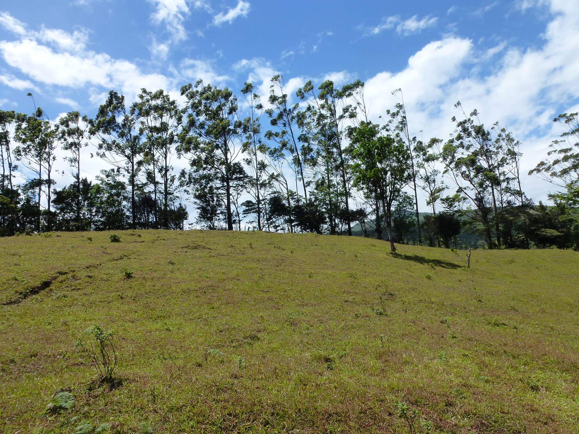 2.26 Acre Lot with Stunning Views Of Lake Arenal and Volcano in Nuevo Arenal