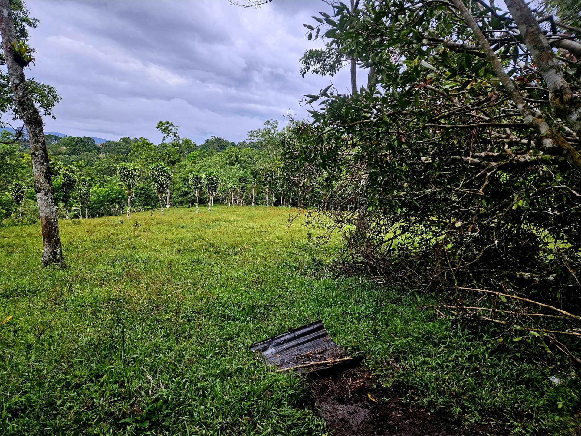 8,737 M2 (2.15 Acre) Lot with View of Lake Arenal in Tronadora