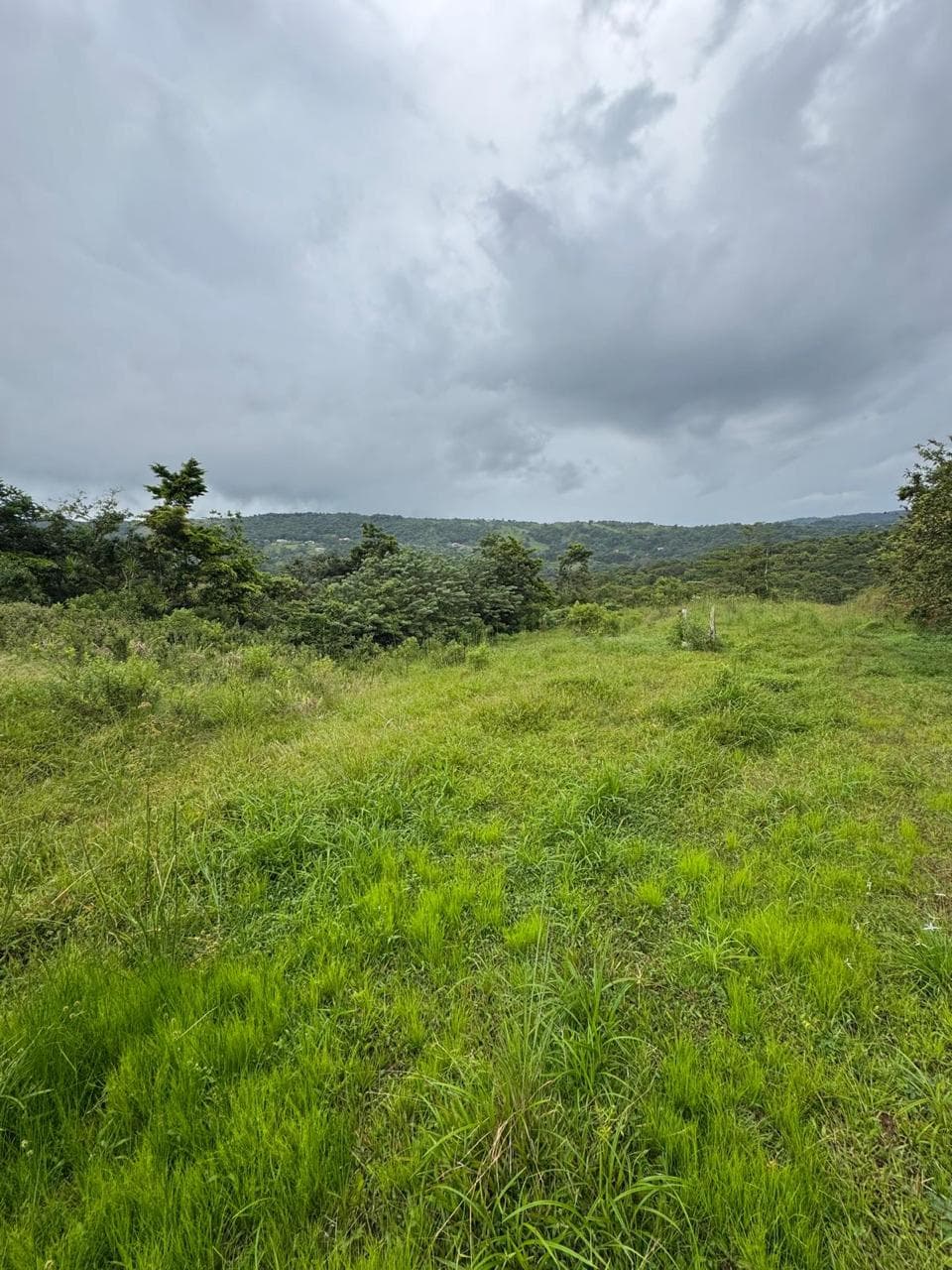 Expansive Lake-Access Property in Turtle Cove, El Aguacate