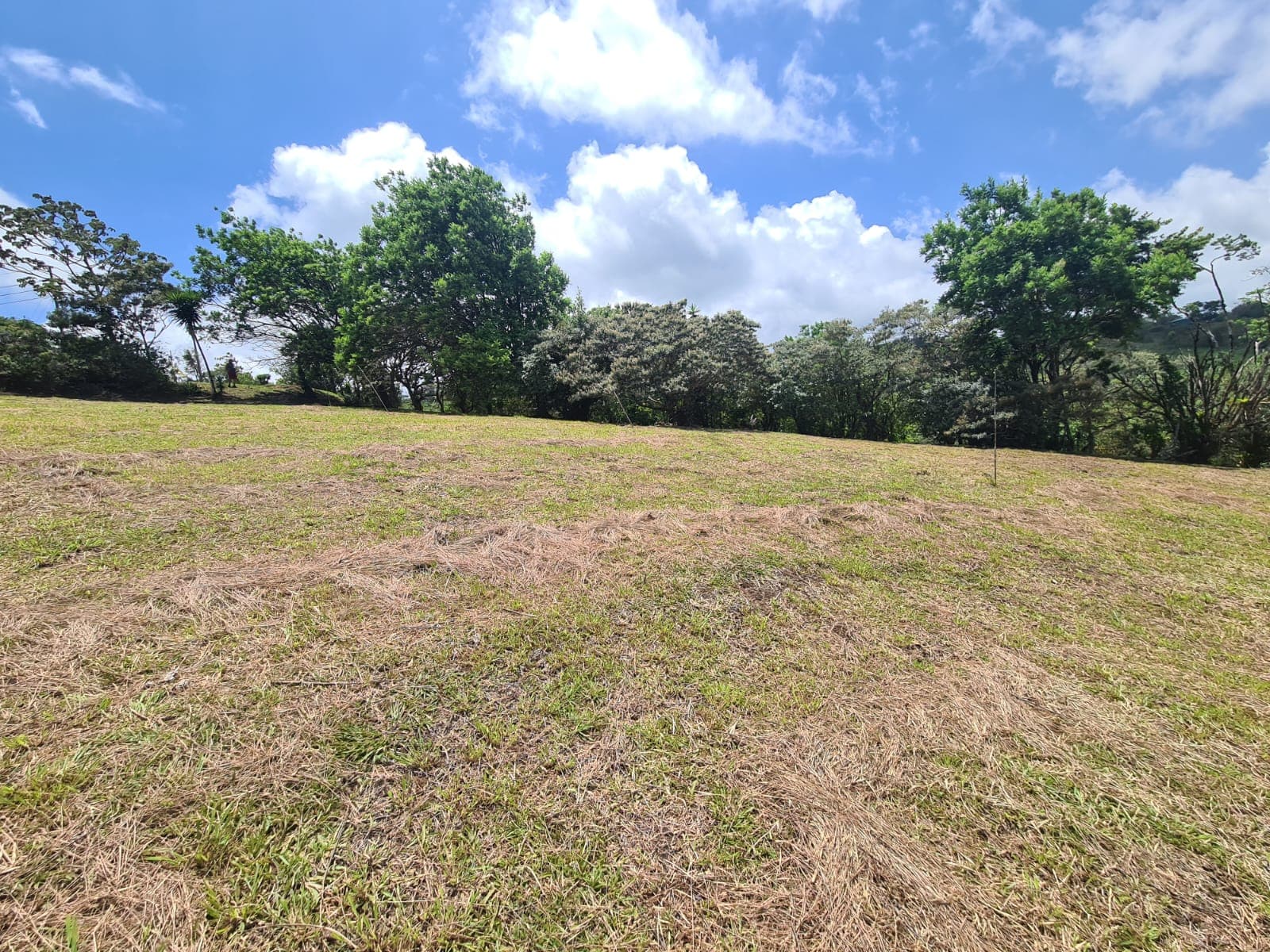 2236 M2 (0,55 acres) Lot with Huge Volcano Views in El Aguacate
