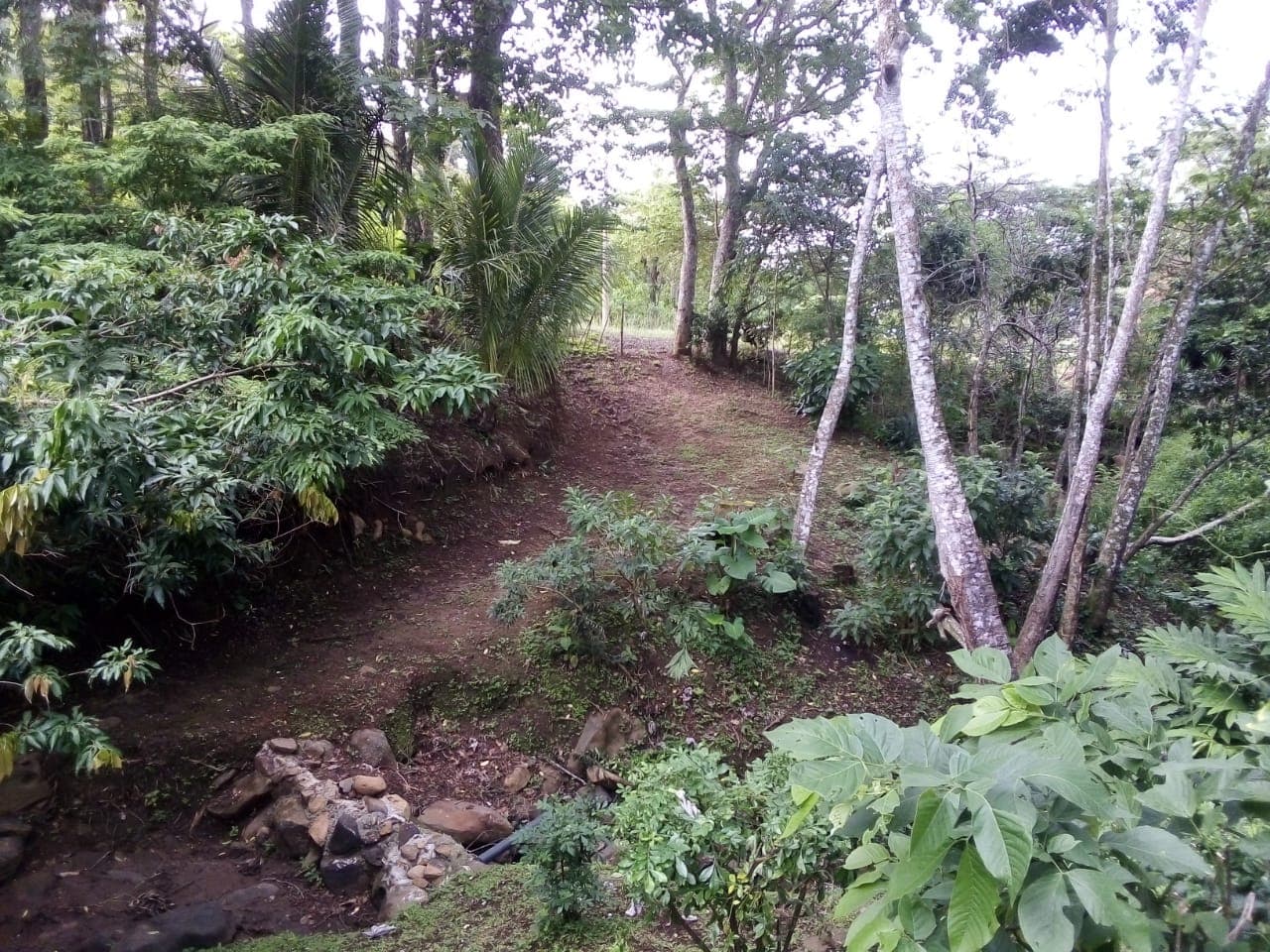 Lot of 15.320 m2 (3.78 Acre) with a private well in Parcelas de Quebrada Azul
