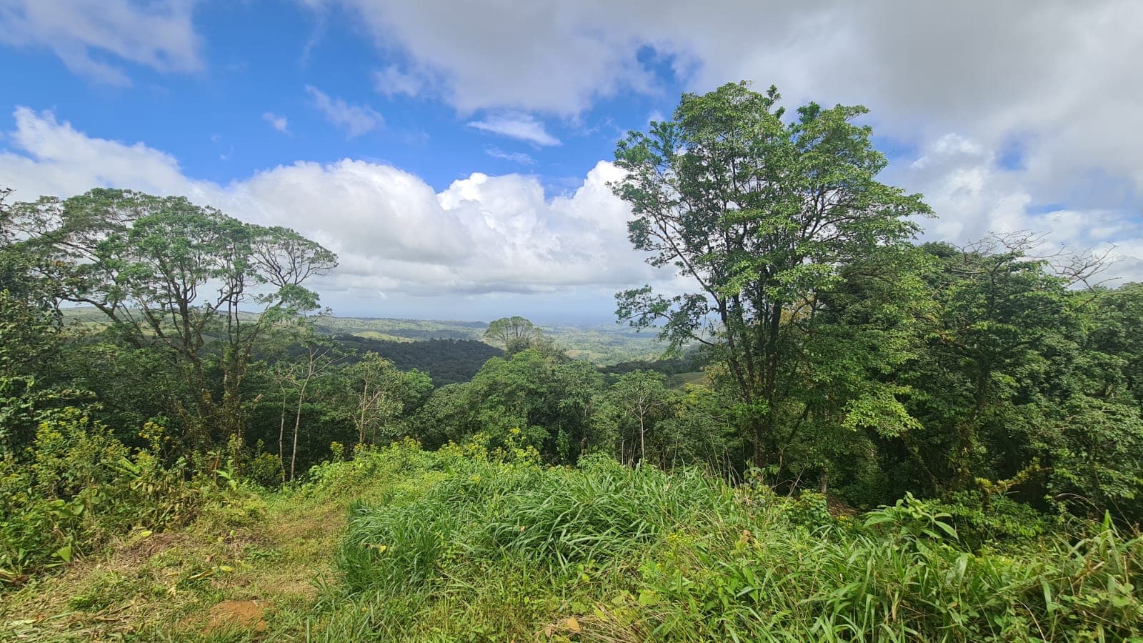 33 Hectare (81.5 acre) Property with Volcano Views in San Carlos, Alajuela