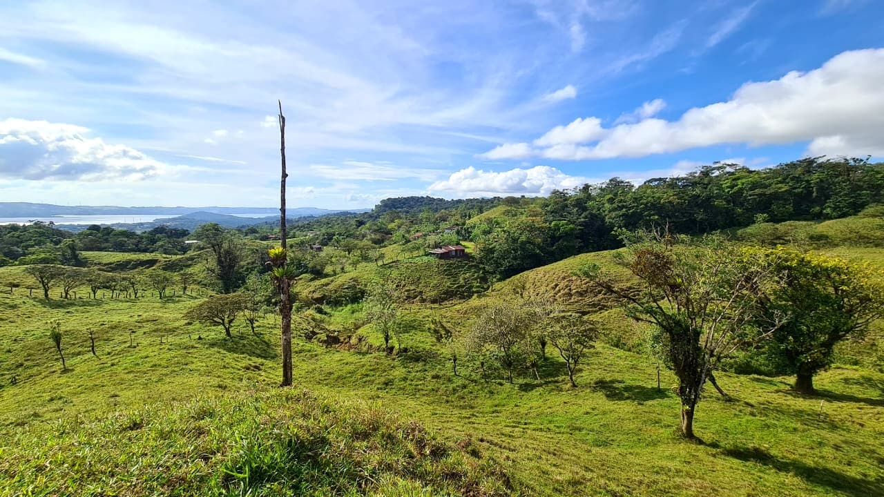Amazing Opportunity, 2 Hectare, Lake View Parcel in Nuevo Arenal