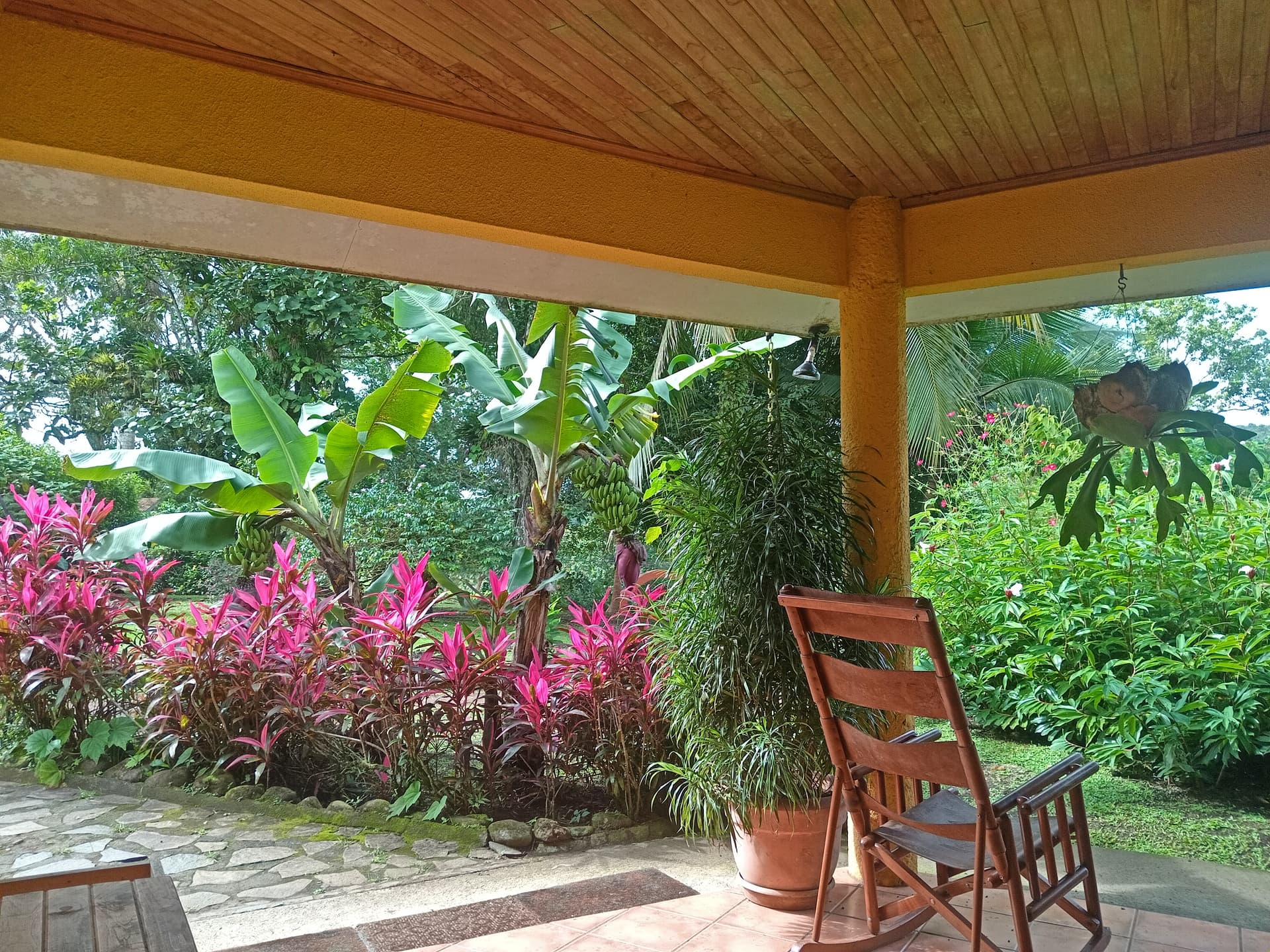 Commercial property: main house + 5 cabins + greenhouse + stable in Cinco Esquinas