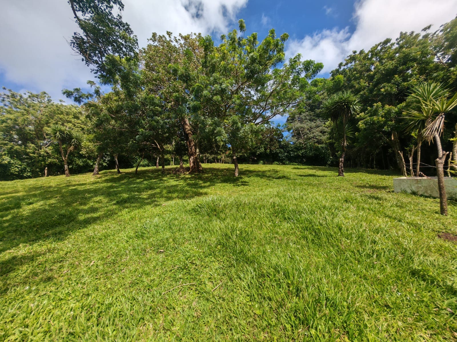 15,750 m² Lakefront Lot with Volcano Views, Fruit Trees & Direct Lake Access