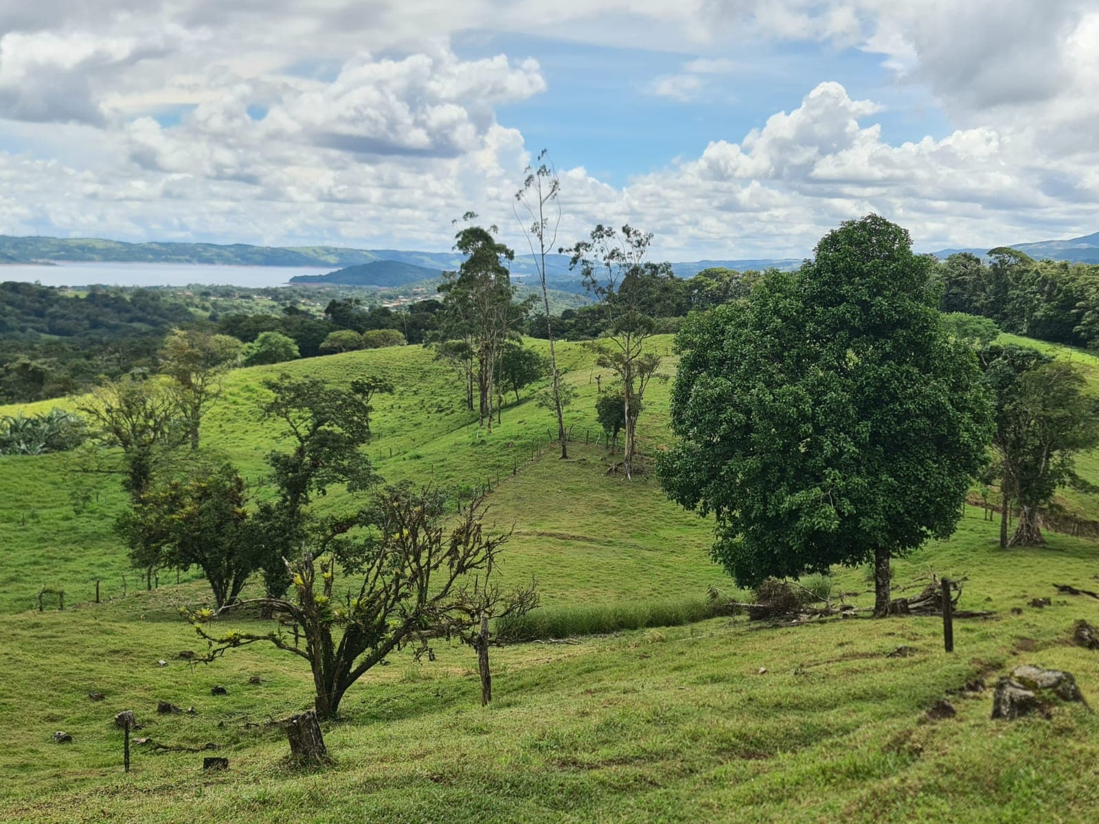 81,500 m2 (20.13 Acre) Lot with Lake and Volcano View in Nuevo Arenal