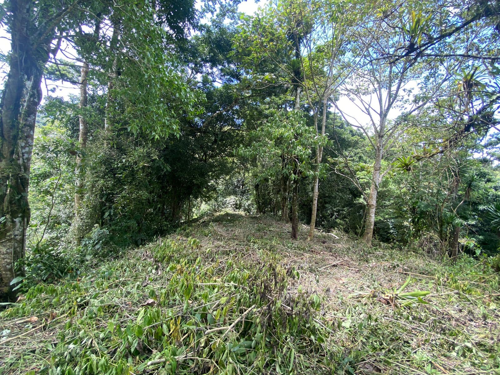 2744 M2 (0,18 acre) Building Lot with Creek In El Silencio, Tilarán