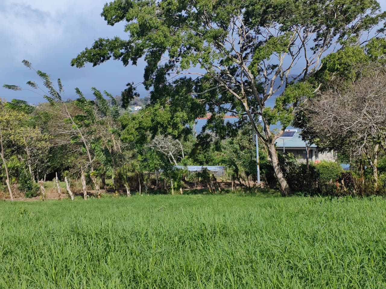 Lot w/ Stunning Views: 1,775 m2 Overlooking Lake Arenal & Tenorio Volcano
