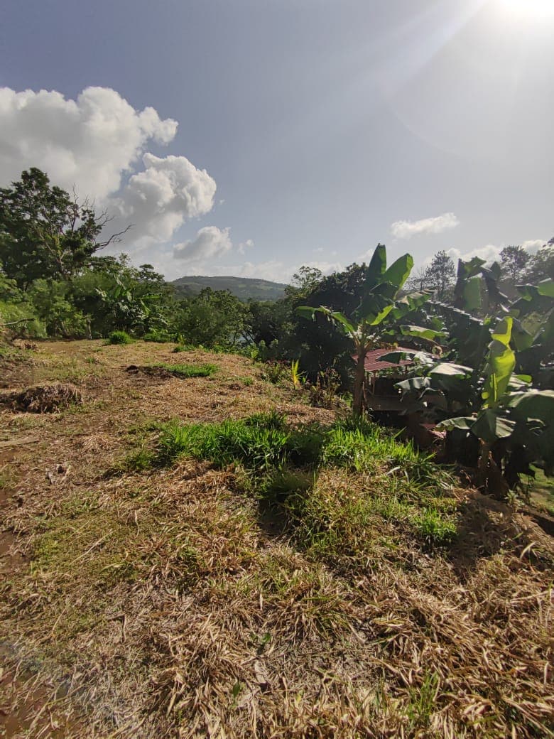 Lovely1,903 m3 (0.47 Acre) Near Lake Arenal in Tronadora