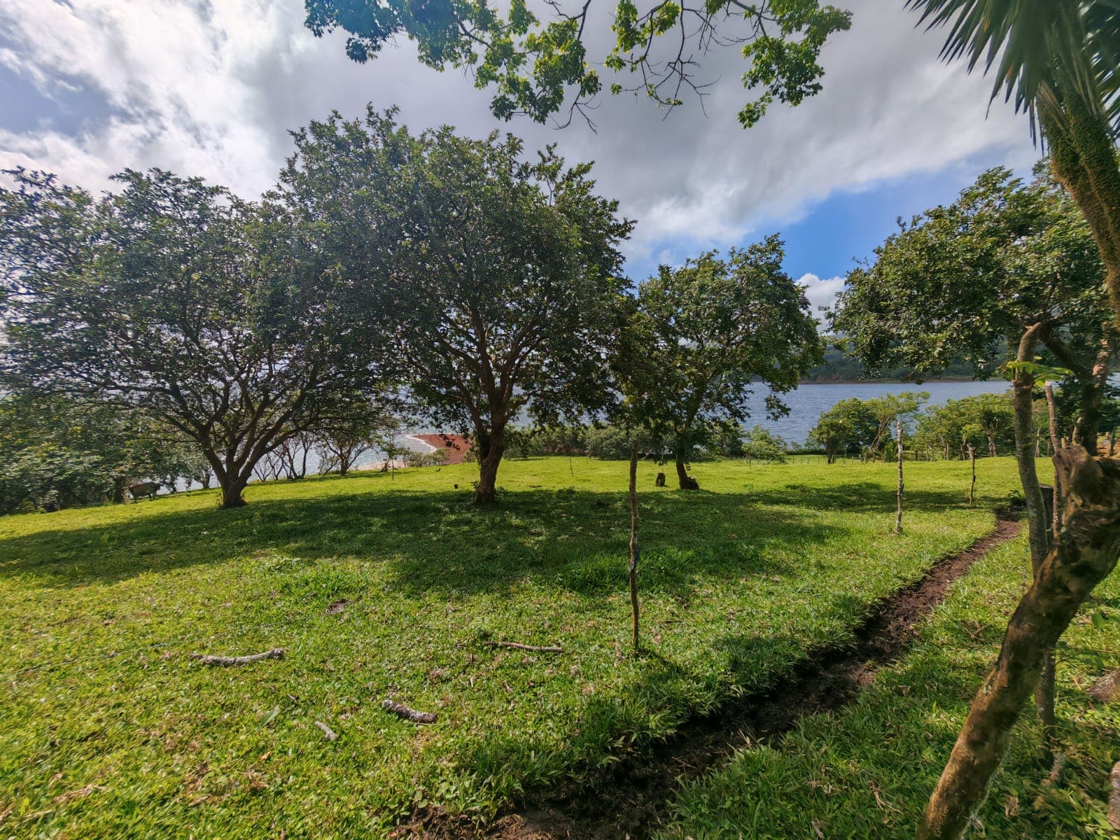 15,750 m² Lakefront Lot with Volcano Views, Fruit Trees & Direct Lake Access