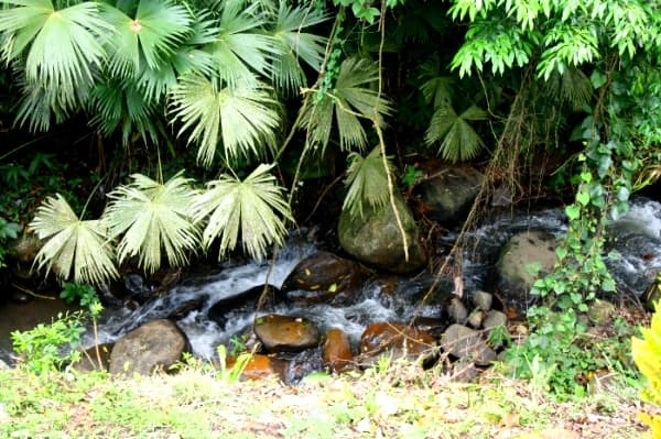 Tico-Style 4BR Home bordered by Bubbling Stream In Tronadora