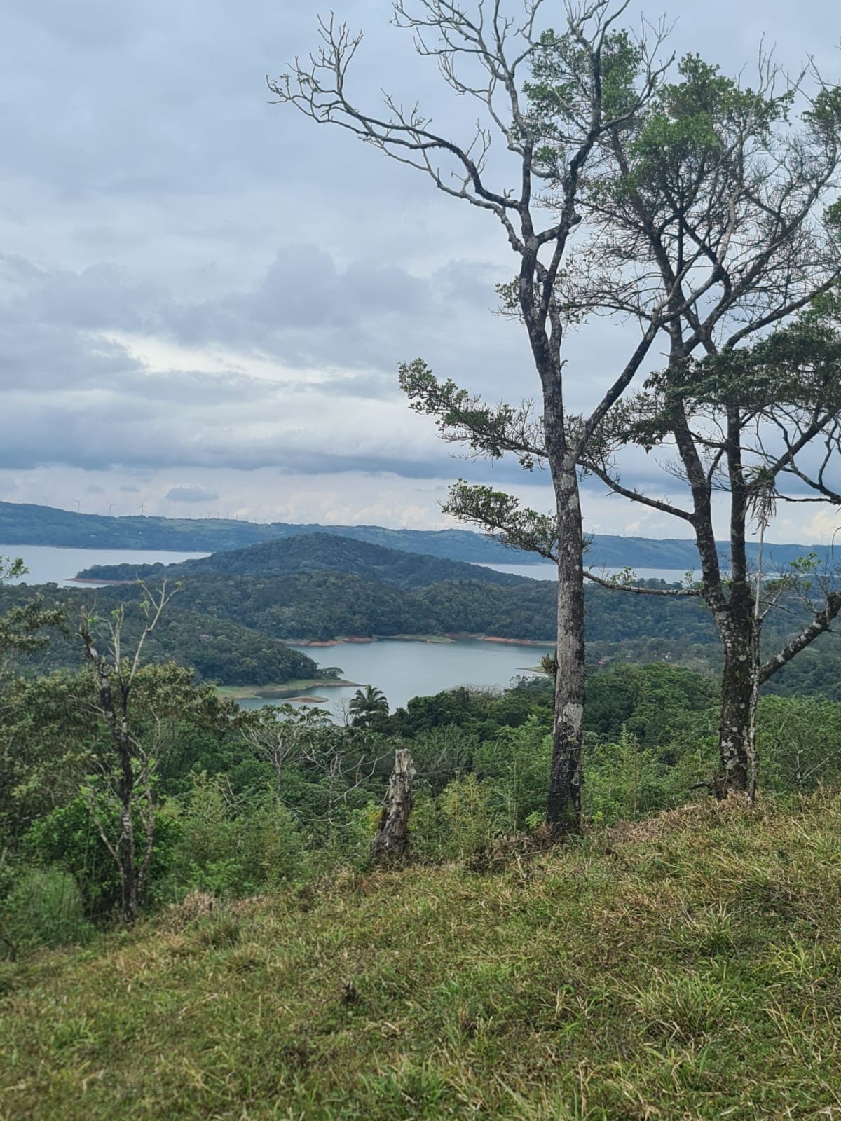 46,600 m2 (11,5 acres) Lot with Amazing Lake View in Nuevo Arenal