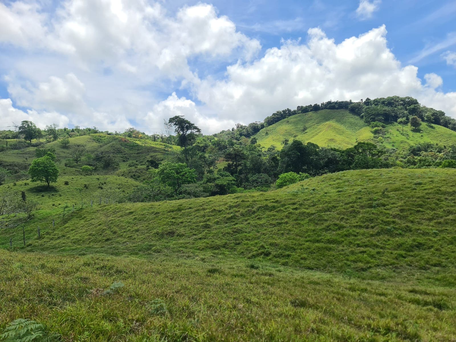 Beautiful 7942 m2 (1,96 acre) Lot Lake View in Nuevo Arenal