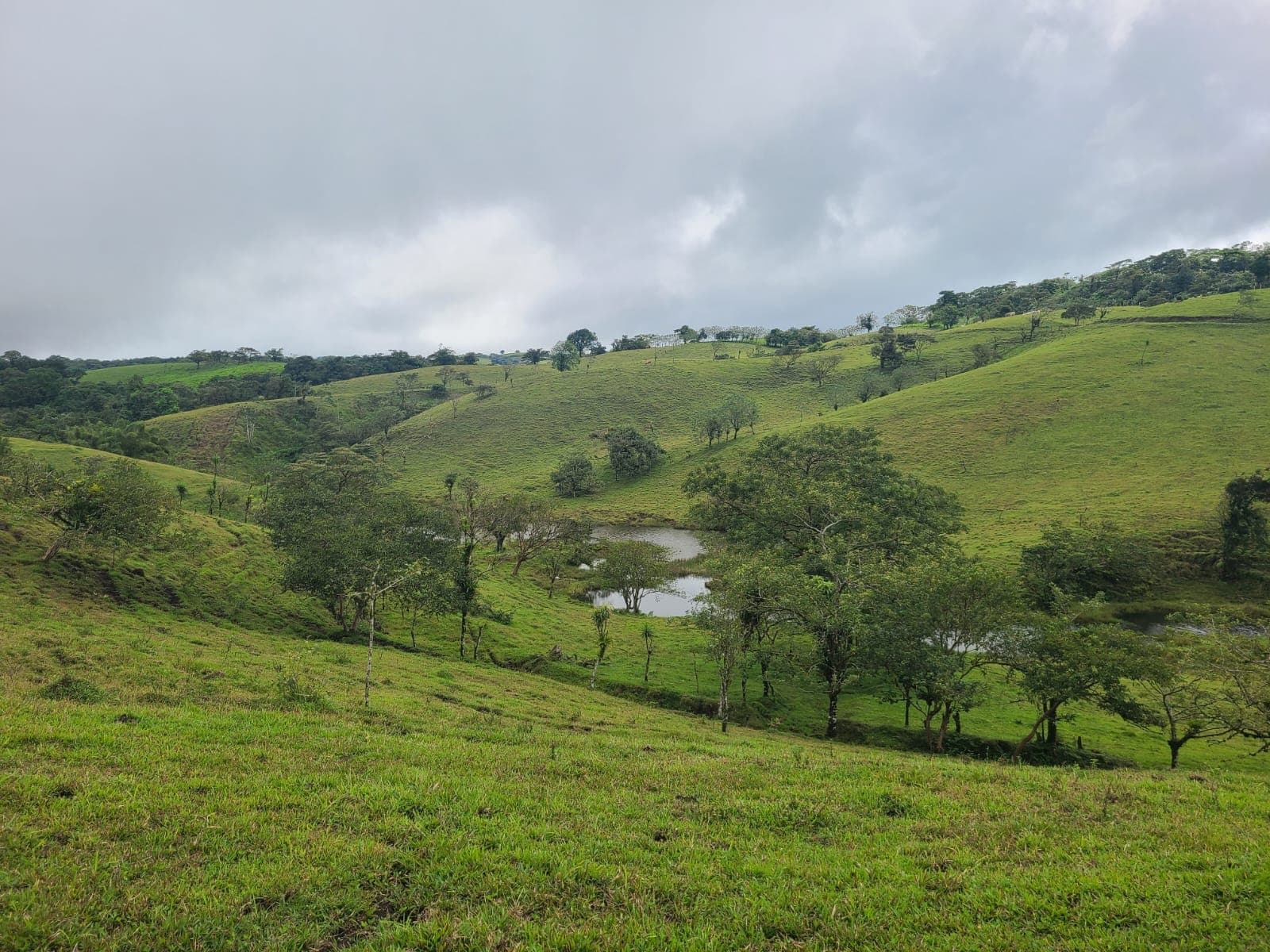 Spectacular 105-Hectare Lot with Lakes, Mountain Views, & Natural Resources