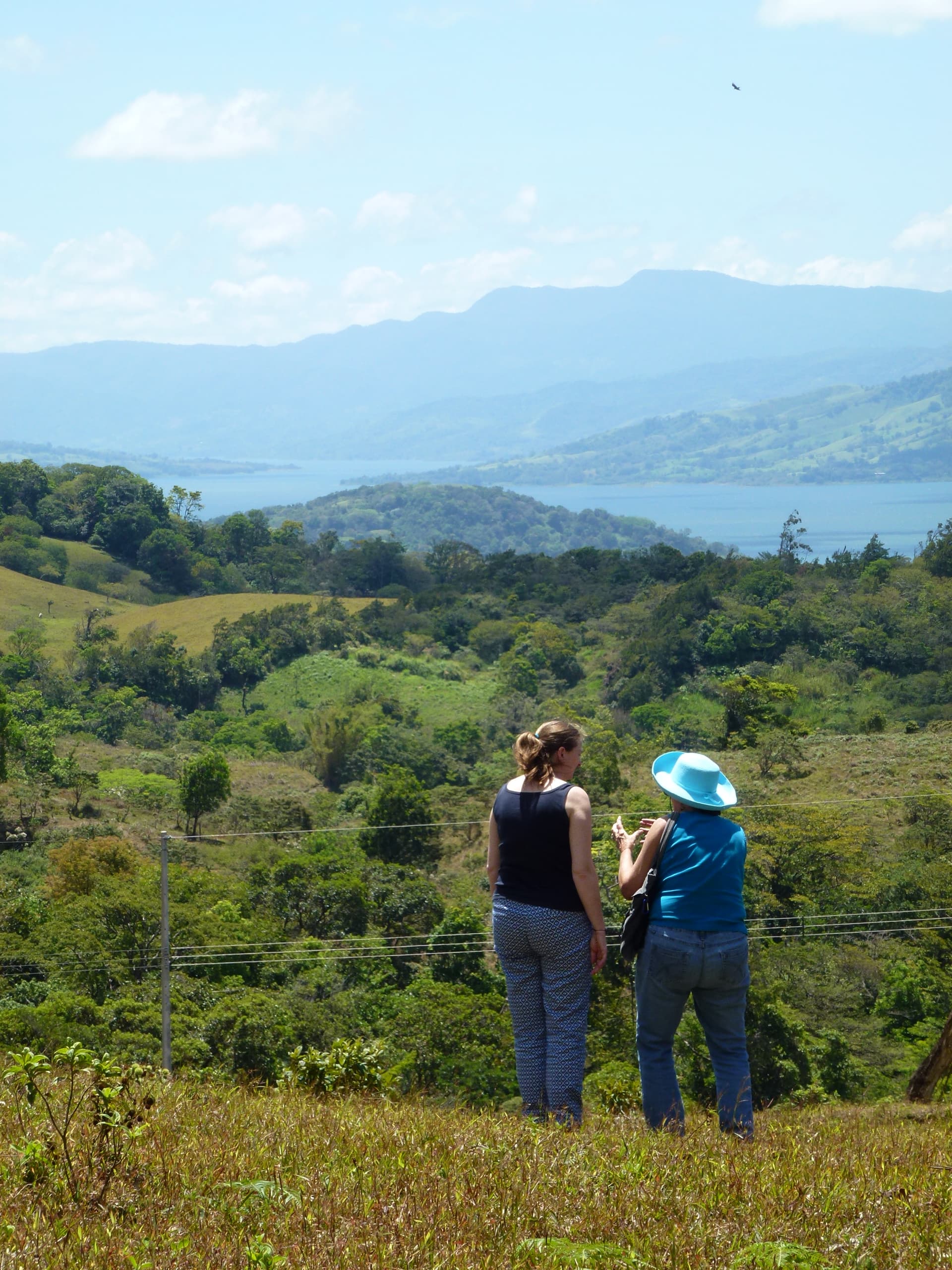 2.26 Acre Lot with Stunning Views Of Lake Arenal and Volcano in Nuevo Arenal