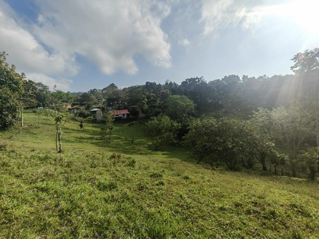 Beautiful Lot of 5461 m2 (1,34 Acre) in downtown Tronadora
