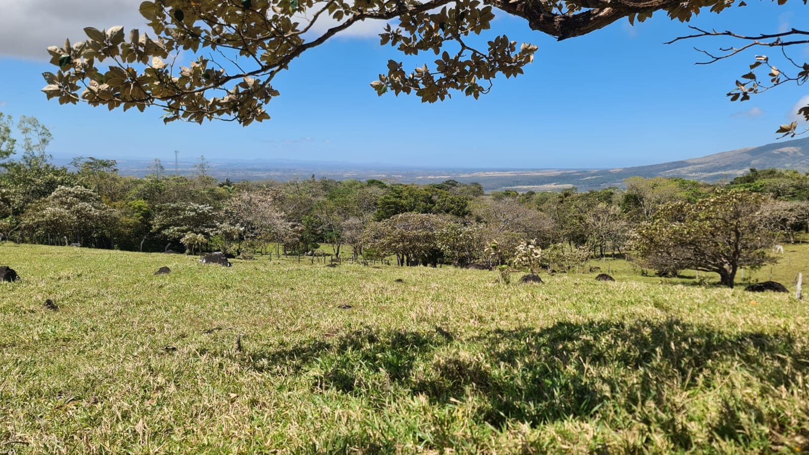 10,000 M2 (2.47 Acre) Lot with Volcano View in Nueva Guatemala