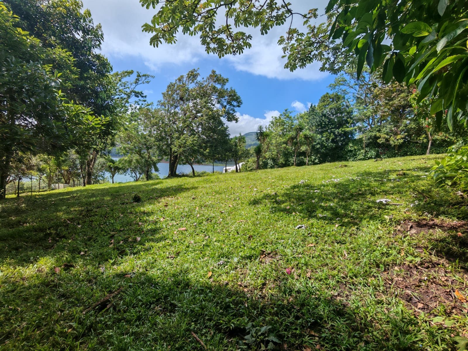 15,750 m² Lakefront Lot with Volcano Views, Fruit Trees & Direct Lake Access