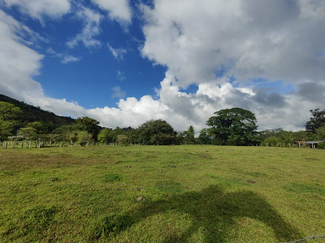 Beautiful Flat 5,624 m2 Lot With Views in Rio Naranjo, Guanacaste