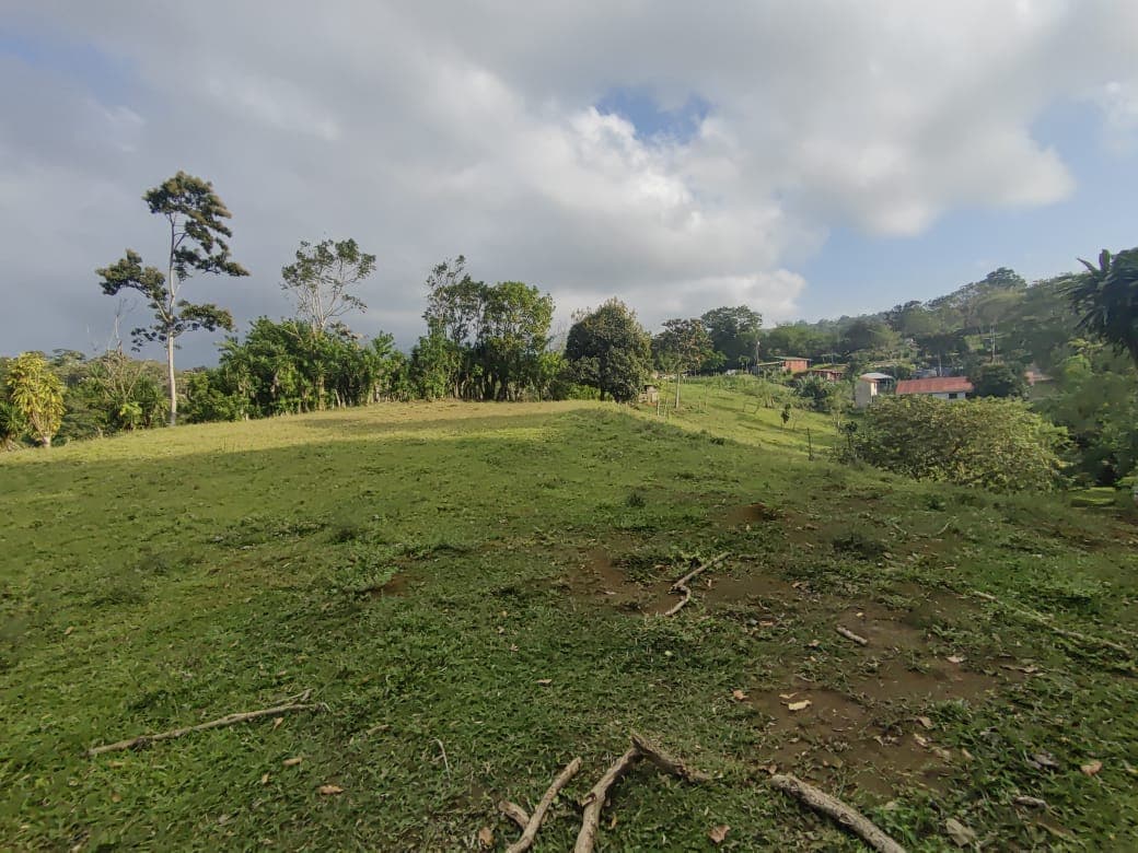 Beautiful Lot of 5461 m2 (1,34 Acre) in downtown Tronadora