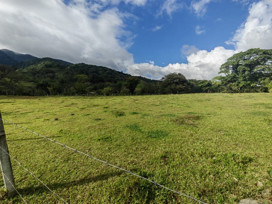 Beautiful Flat 5,624 m2 Lot With Views in Rio Naranjo, Guanacaste